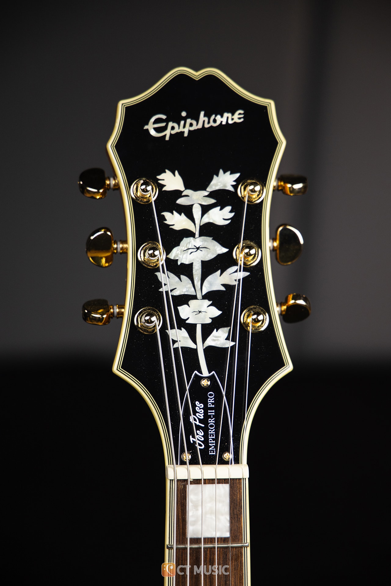 กีตาร์ไฟฟ้า Epiphone Joe Pass Emperor II สต็อกแน่น พร้อมส่ง - CT Music