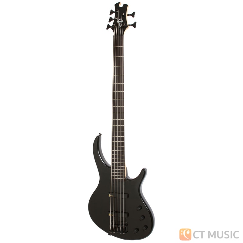 5弦希少　美品　Epiphone Toby by Tobias Deluxe V Epiphone Toby Deluxe V Bass - Vintage Sunburst | Long & McQuade