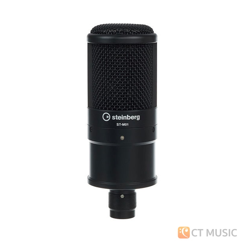 マ*タ様 STEINBERG UR22C Recording Pack 260236-extra-large.jpg