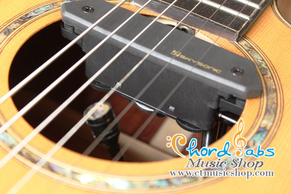 Skysonic T-902 Active Double Pickup ( Michrophone + Magnetic