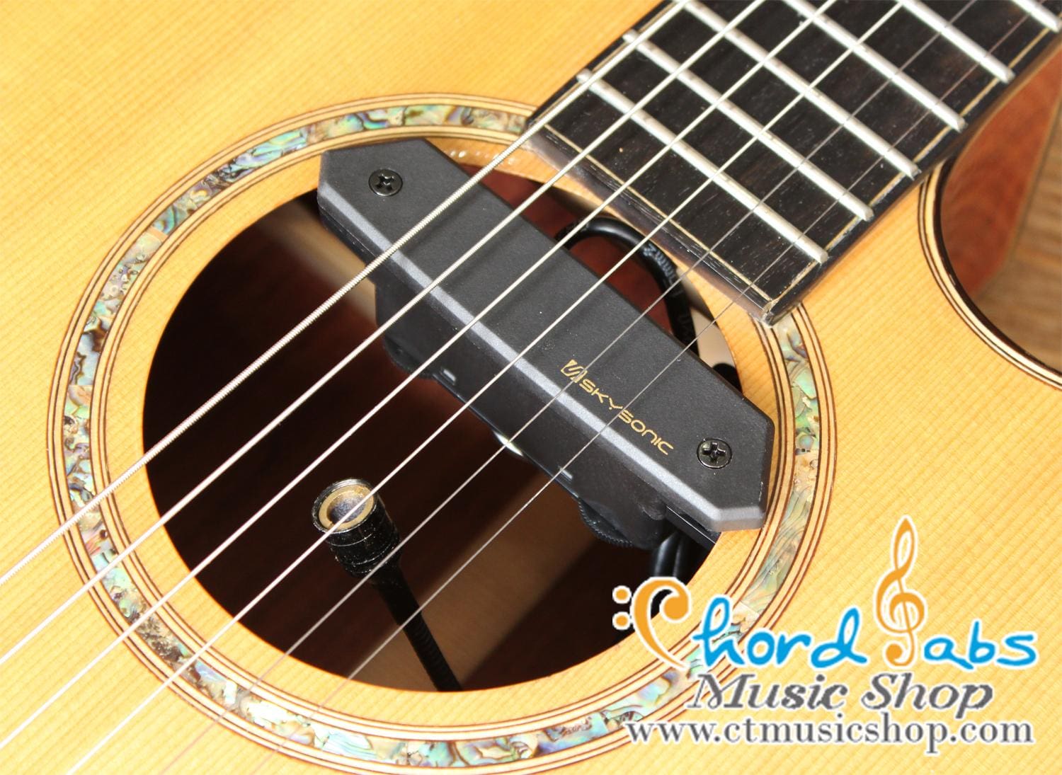 Skysonic T-902 Active Double Pickup ( Michrophone + Magnetic