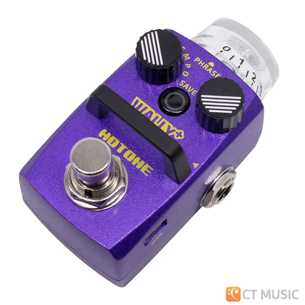 Demo: Hotone Wally Looper — Pedals and Effects