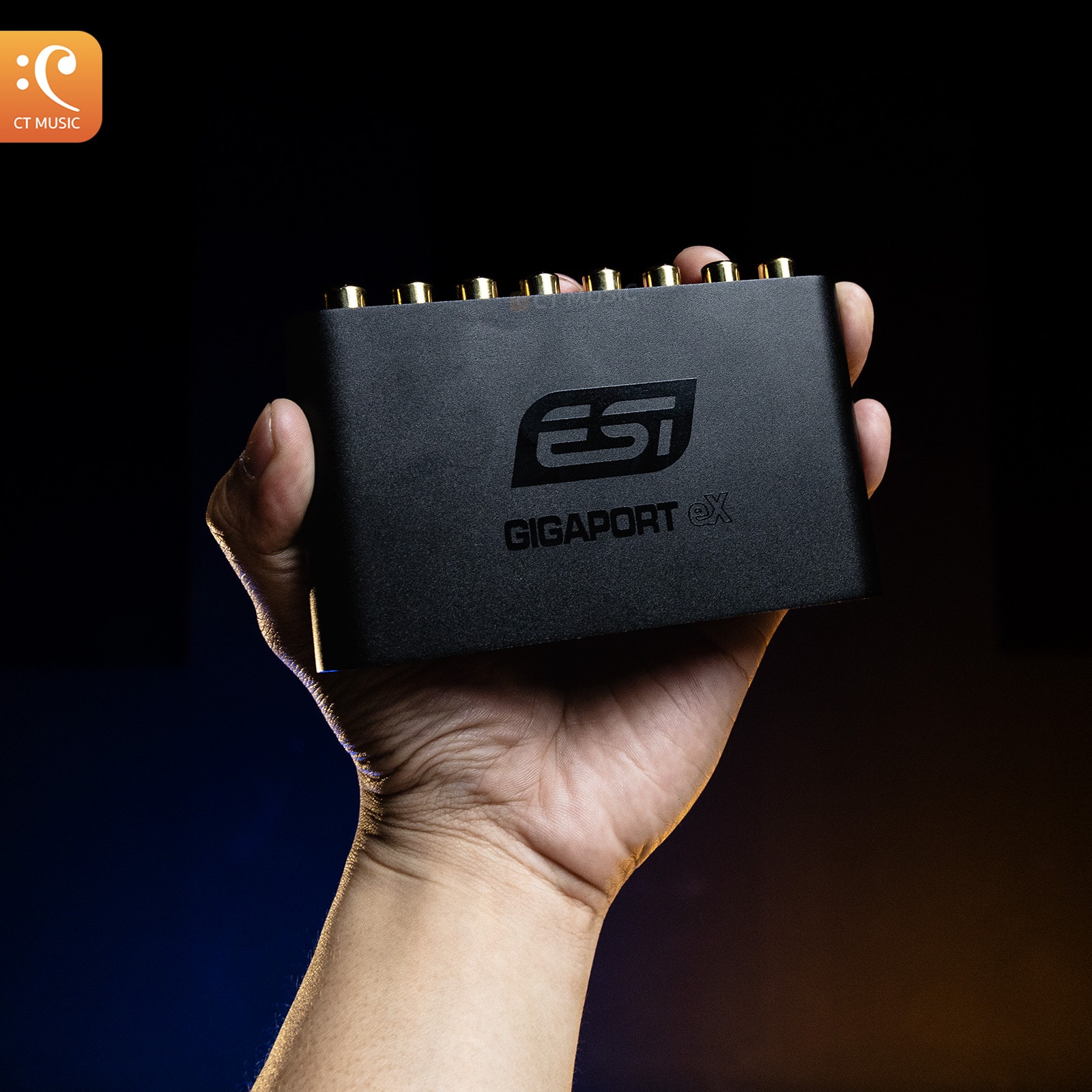 ESI GIGAPORT eX 本体 GIGAPORT eX（24bit-192kHz対応） - Dirigent | ディリゲント