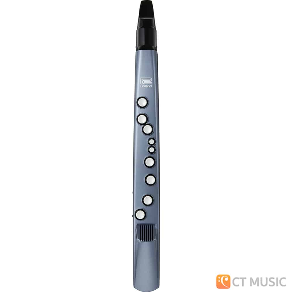 Roland AE 01 Aerophone Mini Digital Wind Instrument CT Music