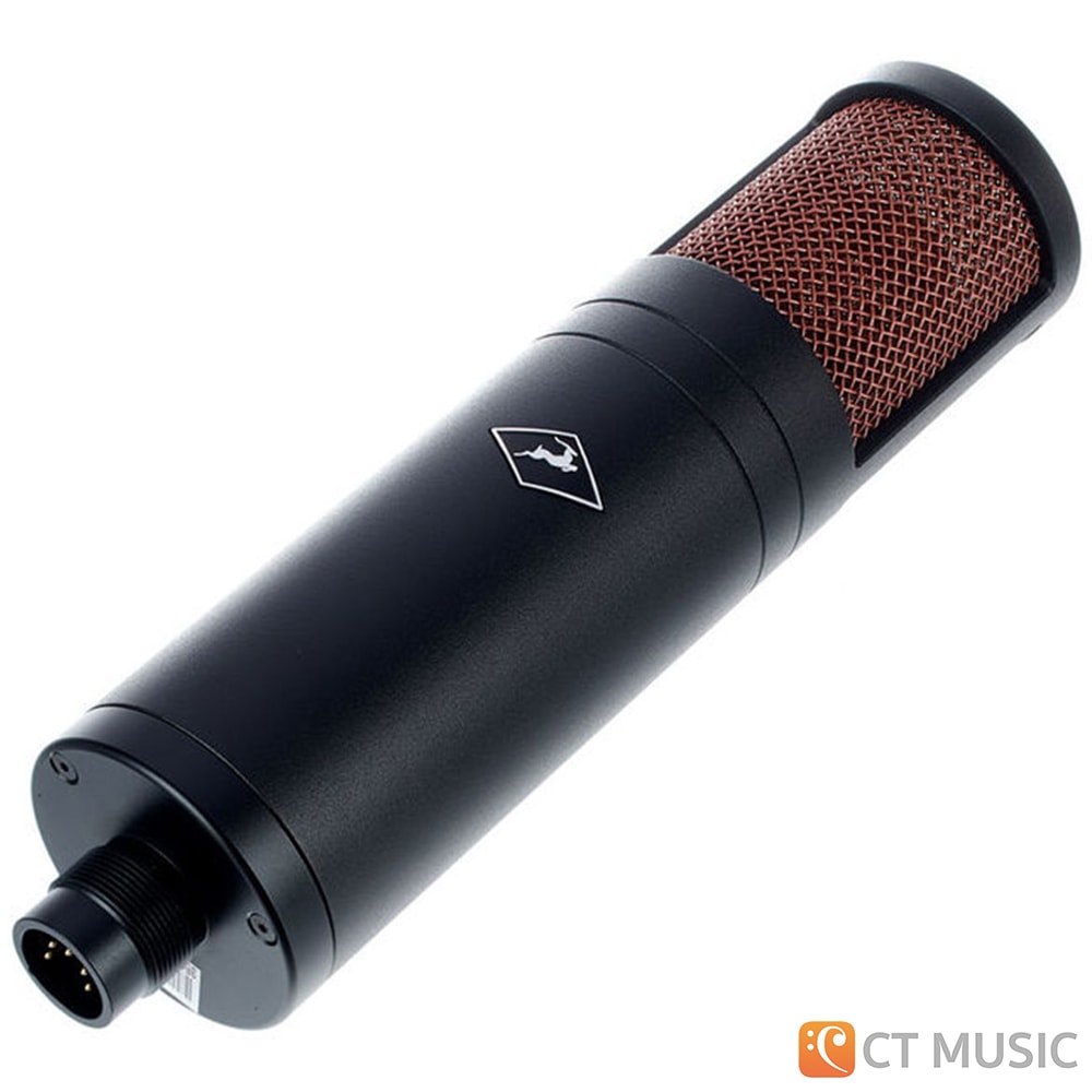 Antelope Audio Edge Duo สต็อกแน่น พร้อมส่ง - CT Music
